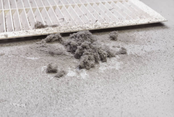 Best Ventilation Cleaning Services  in Edina, MO