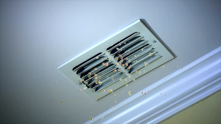Air Duct Mold Removal in Edina, MO