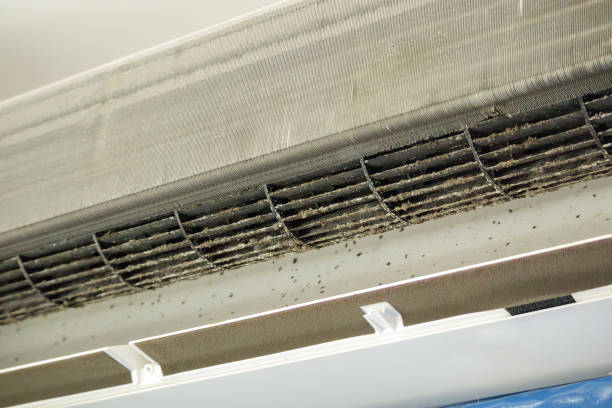 Best Air Duct Cleaning Near Me  in Edina, MO